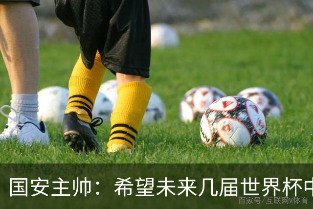 国安主帅：希望未来几届世界杯中能看到中国男足的身影
